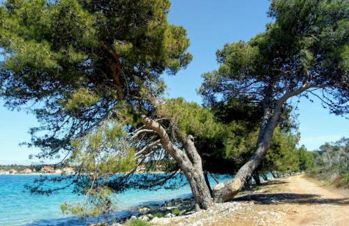 Holiday home Mola - Foto 39