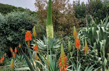 Sítio da Assumada - Foto 41