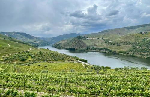 Comfortable & central apartment - Foto 22