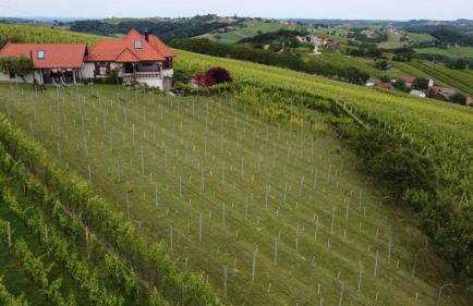 Villa Lotus - Foto 51