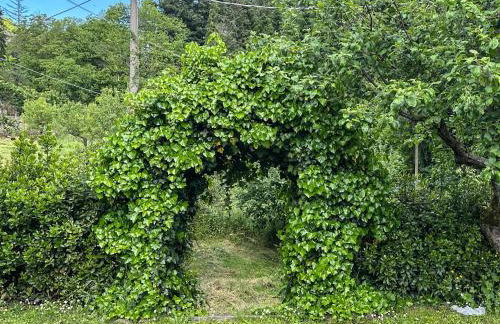 Renee House - Foto 83