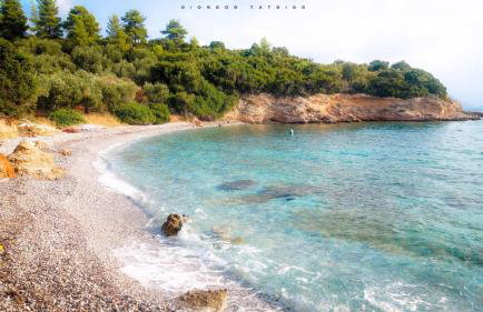 SIX INDEPENDENT HOUSES BY THE sea - Foto 36