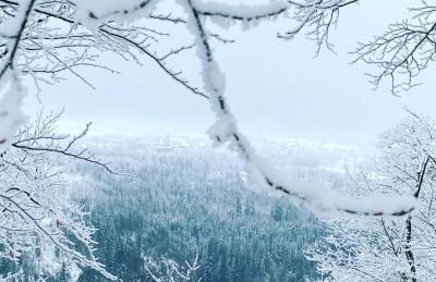 Ferienwohnung Frankenwald - Foto 25