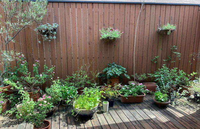 KASUMI-an 4 - Foto 26