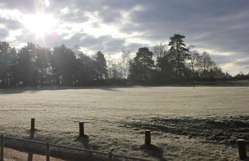 Cozy Cottage Retreat in Surrey Hills - Foto 14