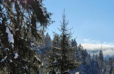 Manu's Ferienwohnung - Foto 43