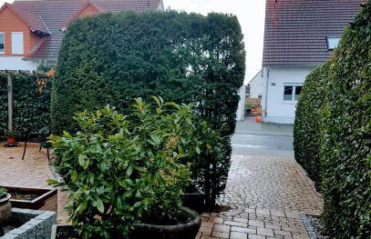 Appartement am Goldsteinpark - Photo 10