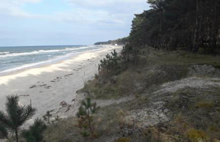 Küstenwilla FeWo Usedom - Foto 8