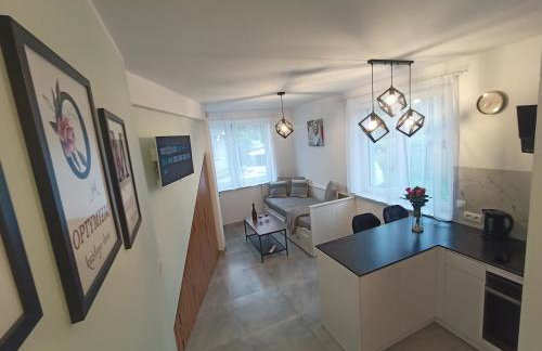 Apartament Gotowizna - Foto 5