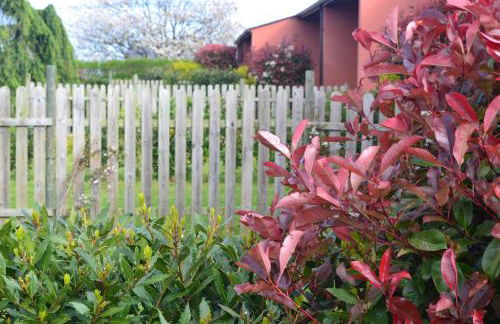 Apartamentos El Guindal - Foto 37