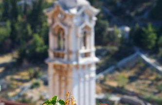 Villa Monica - Foto 30