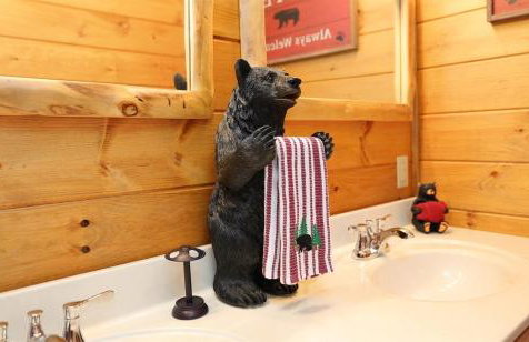 Cozy Stone Cabin Retreat Near Beech Ski Slopes - Foto 50