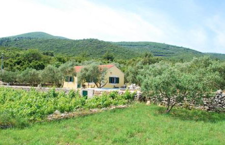 Vineyard House & Olive Grove House - Photo 36
