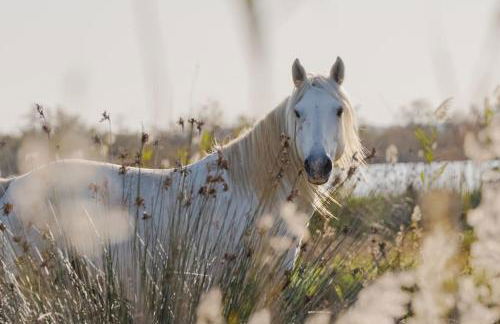 LE PTIT HONORE - Appartement 2 pers - Centre Cosy WiFi Clim Garage - Foto 27