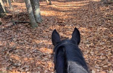 THE RIVER HOUSE LIMIT 6 home - Foto 19