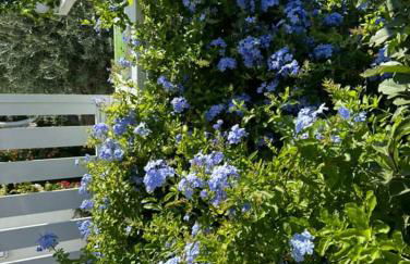 Thassos OLIVIA RESORT - Foto 52