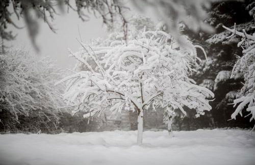The Organic Cotswolds Shepherds Hut - Photo 57