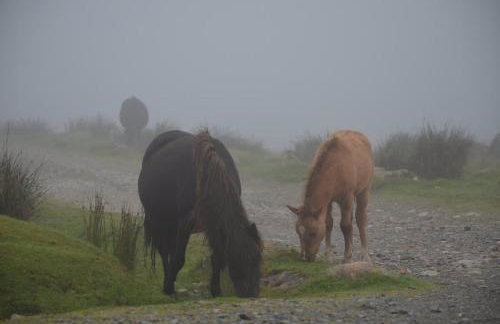 Beautiful Barn on edge of Dartmoor - Foto 21