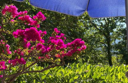 Spiti Galini, "Haus der Zufriedenheit" - Foto 36