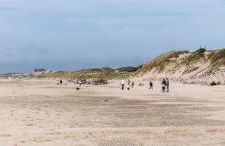 cottage proche du bord de mer et au cœur des dunes - Foto 40