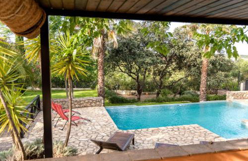 La Jacaranda - Foto 22