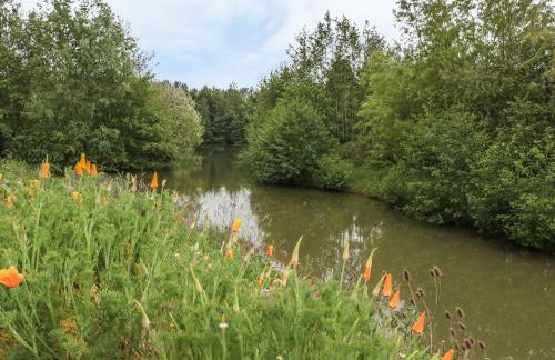 Island Yurt - Foto 17