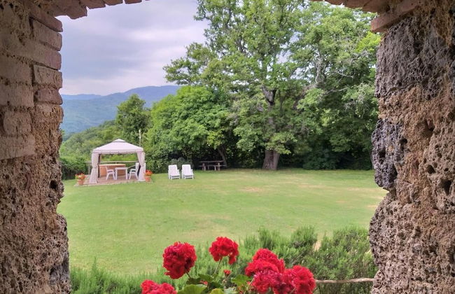 Agriturismo Colli di Travale - Foto 39