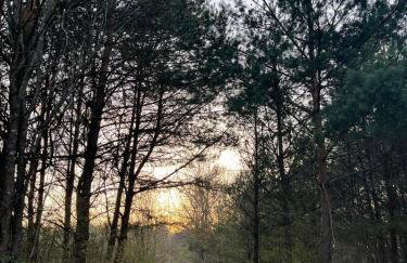 Wiejski domek w środku lasu Osłowo Mielnik - Foto 7