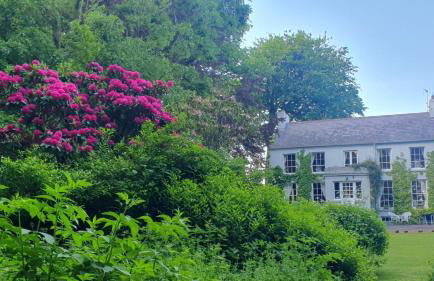 Dromore House Historic Country house - Foto 40