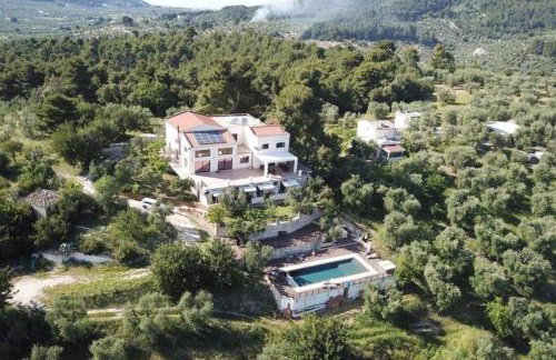 B&B Zia Nì - Photo 3