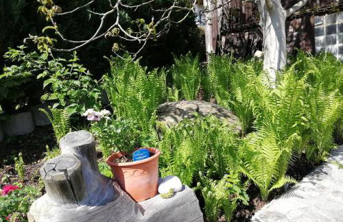 Hike 'n Bike Base - Foto 26