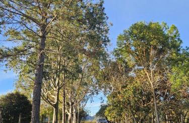 Casa das Hortênsias - Foto 18