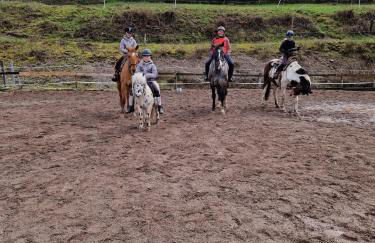 Chevaux au Soleil - Foto 9