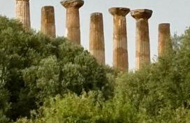 Nella valle dei templi e al mare - Foto 33