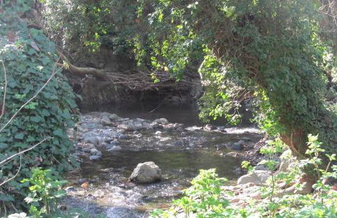 Angela's River Paradise Cottages - Foto 10