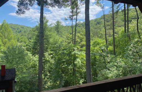 The cozy Lazy Laurel with year-round mountain views, hot tub, fire pit - Foto 18