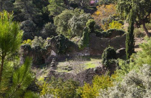 La Chocita de Tio Castor - Foto 33