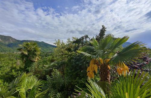 Feluca Porto - Photo 17