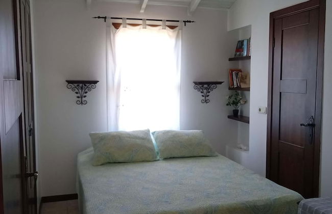 Olivia Houses 2 Worth to Look At - Photo 4