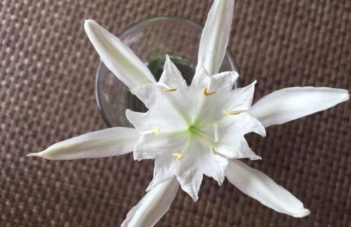 Villetta Brunetti, Sant'Elmo Costa Rei - Foto 35