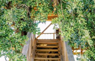 Conversas de Alpendre - Foto 96