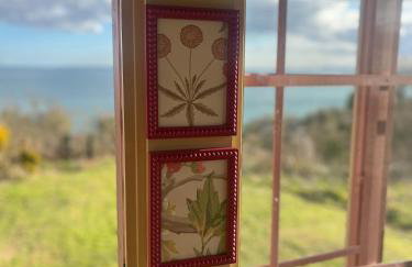 The Pink Cottage upstairs suite & Garden Summer Room - Foto 64