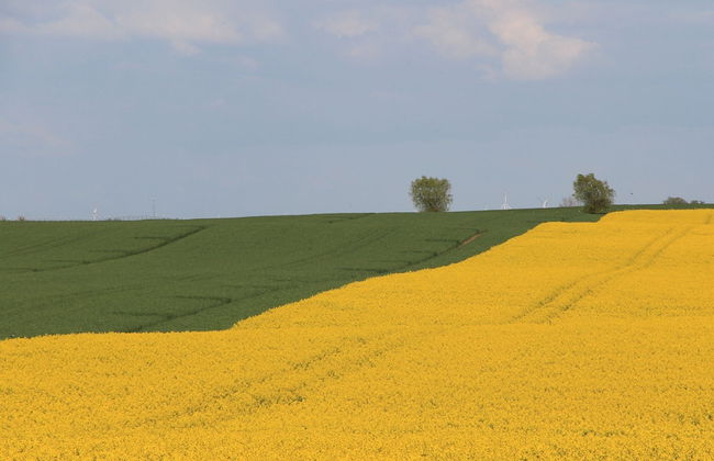 Luxury Holiday Home With Sauna - Foto 25