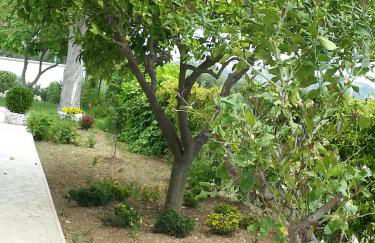 Domus Aurea - Foto 16