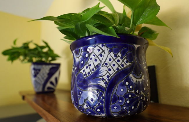 Villas Pura Chacala - Foto 27