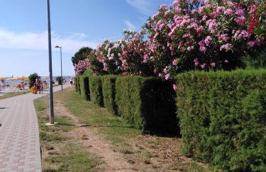 Apartment Ana - Photo 20