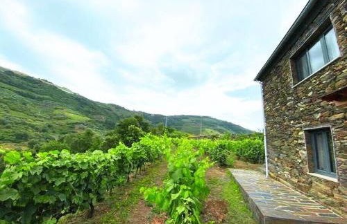 Quinta do Enxertado - Foto 1