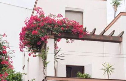 Sevilla próximo a Plaza de España - Foto 8