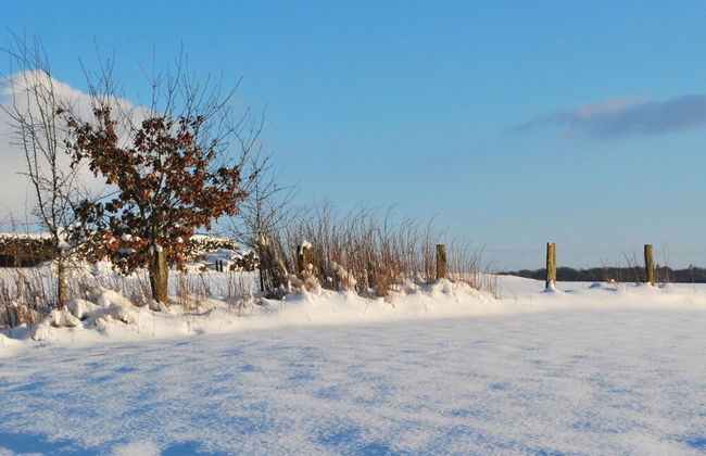 Attractive Apartment in Jehonville With Terrace - Foto 36