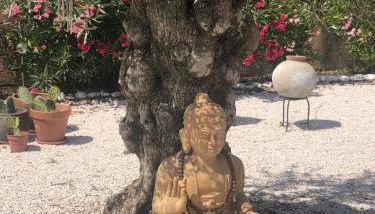 Mas de Bagarry - Foto 4, Garden